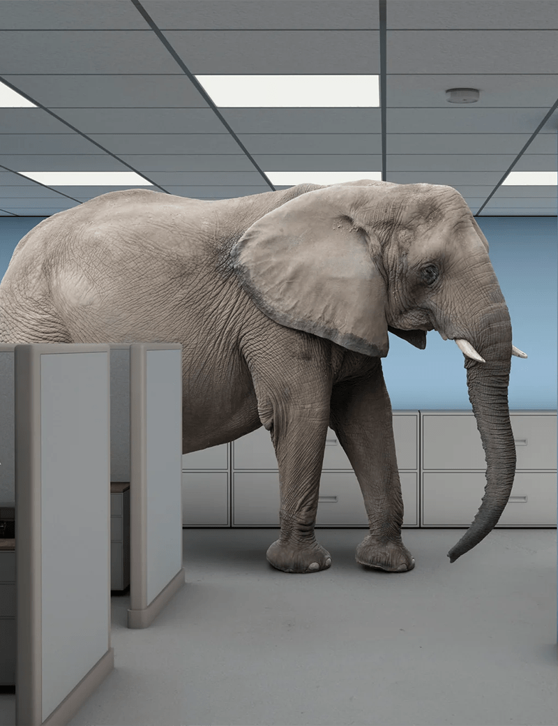 Behind the Design: The Story of Roiff Studio’s Elephant Charm