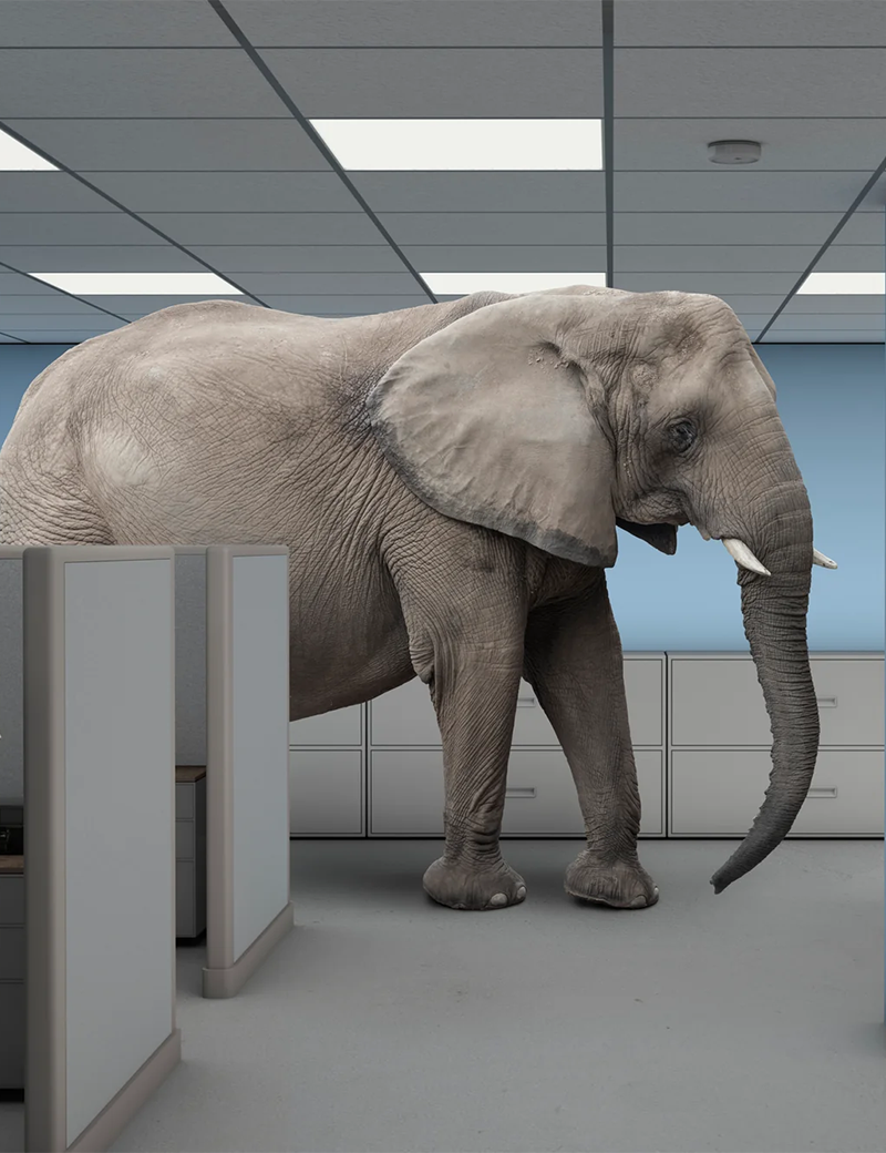 Behind the Design: The Story of Roiff Studio’s Elephant Charm